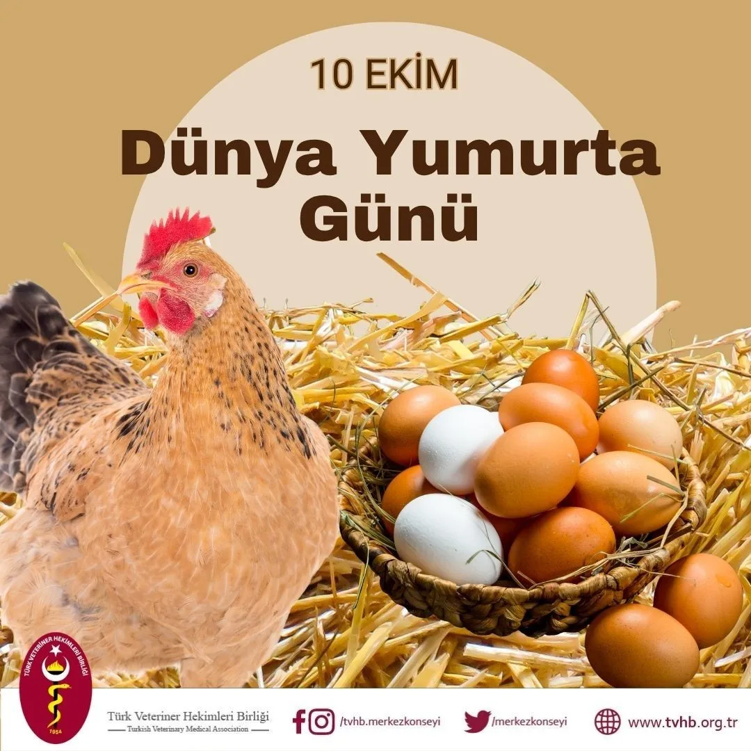 Türk Veteriner Hekimleri Birliği (TVHB) Merkez Konseyi Başkanı Ali Eroğlu,