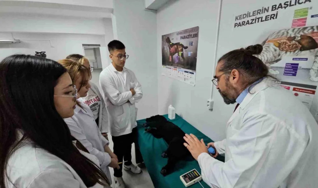 Zonguldak Bülent Ecevit Üniversitesi (BEUN) Çaycuma Gıda ve Tarım Meslek