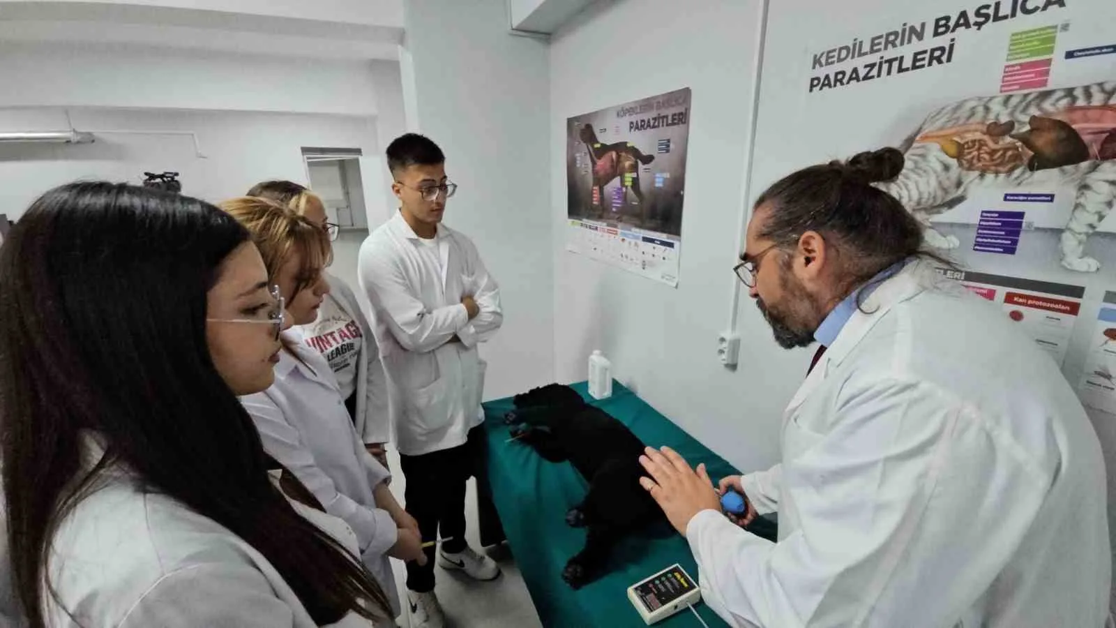 Zonguldak Bülent Ecevit Üniversitesi (BEUN) Çaycuma Gıda ve Tarım Meslek