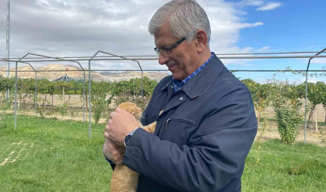 Türk Veteriner Hekimler Birliği (TVHB) Genel Başkanı Ali Eroğlu, “Hayvanlara