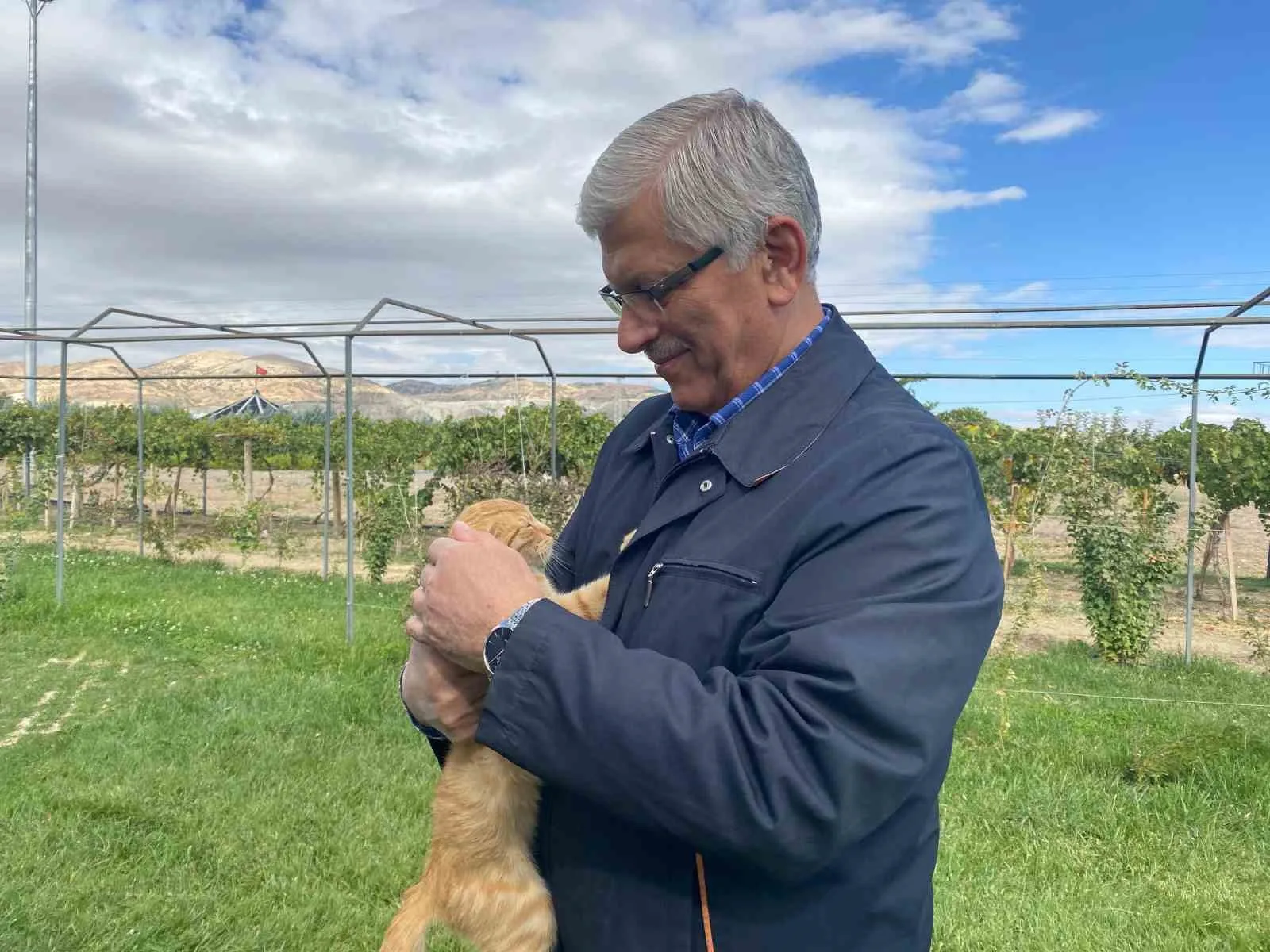 Türk Veteriner Hekimler Birliği (TVHB) Genel Başkanı Ali Eroğlu, “Hayvanlara
