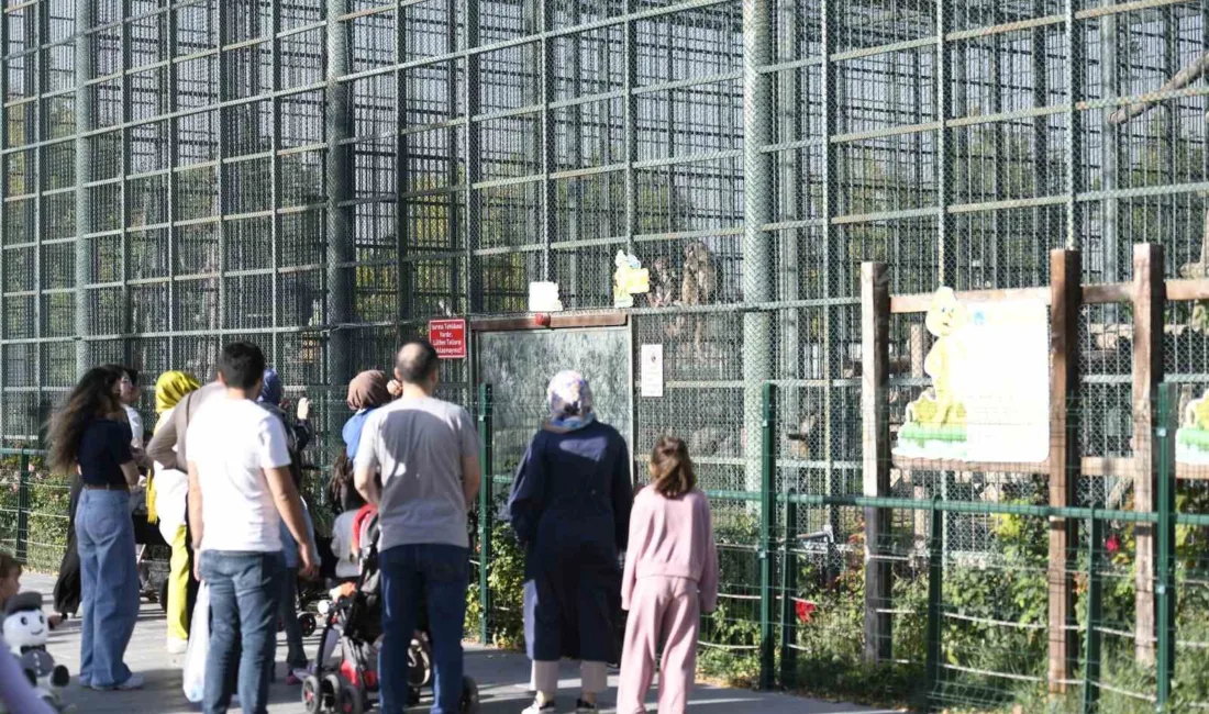 Kayseri Büyükşehir Belediye Başkanı Dr. Memduh Büyükkılıç’ın talimatlarıyla 4 Ekim