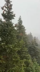 Havaların aniden soğumasıyla birlikte, Uludağ’da kar yağışı etkili oldu. Bursa’da