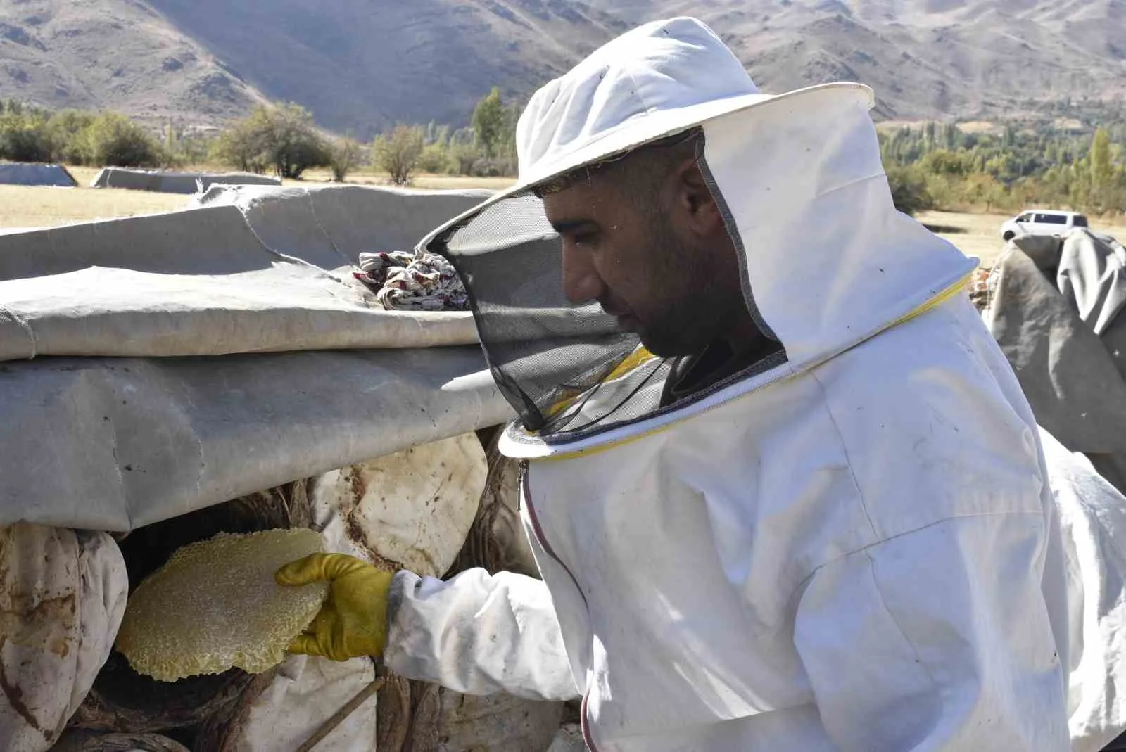 Bitlis’in yüksek rakımlı yaylalarında üretilen ve uluslararası yarışmalarda defalarca “dünya