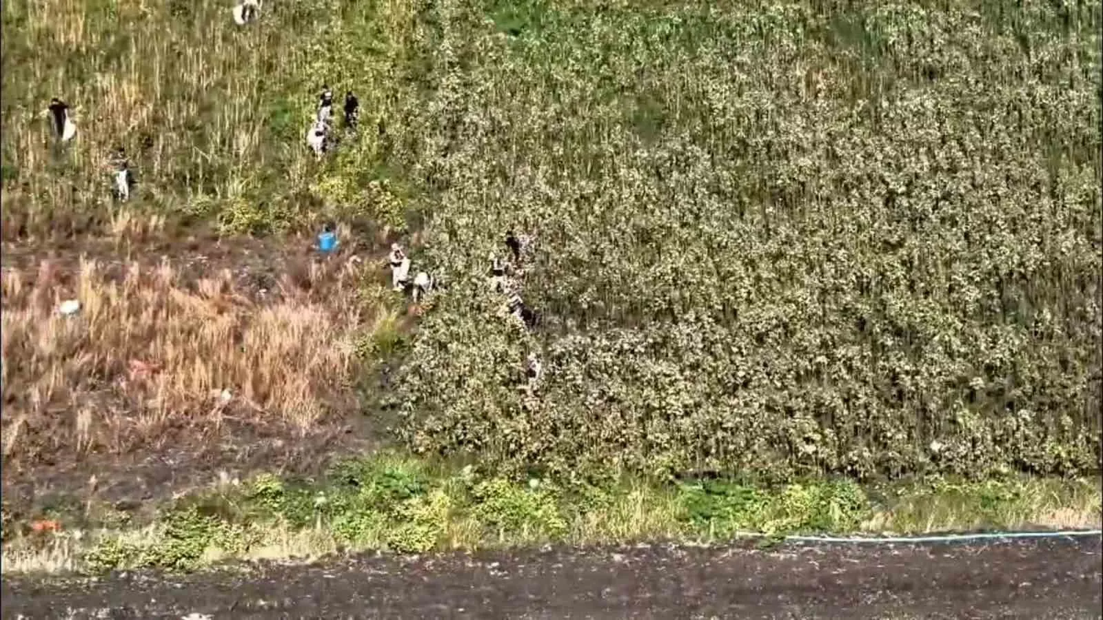 Hatay’da jandarma ekipleri tarafından gerçekleştirilen operasyonda, tarlaya ekilmiş halde bin