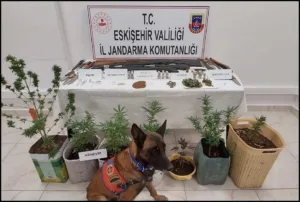 Eskişehir’de farklı tür ve miktarlarda uyuşturucu madde ve silah bulunduran