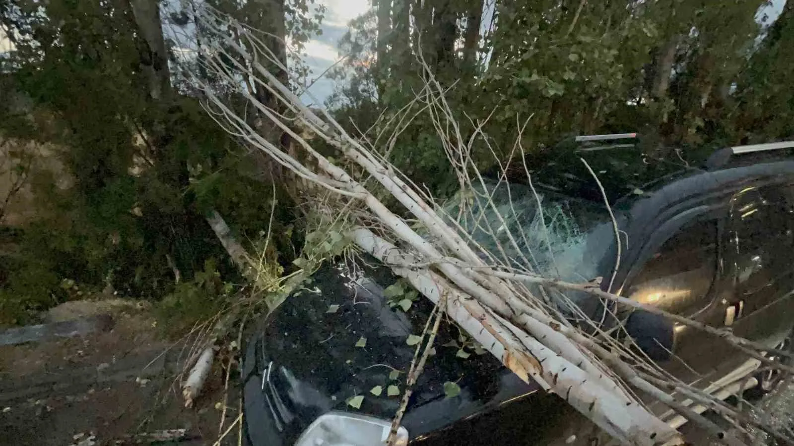 Eskişehir’de rüzgarın etkisiyle kırılan ağaç dalları park halindeki bir aracın