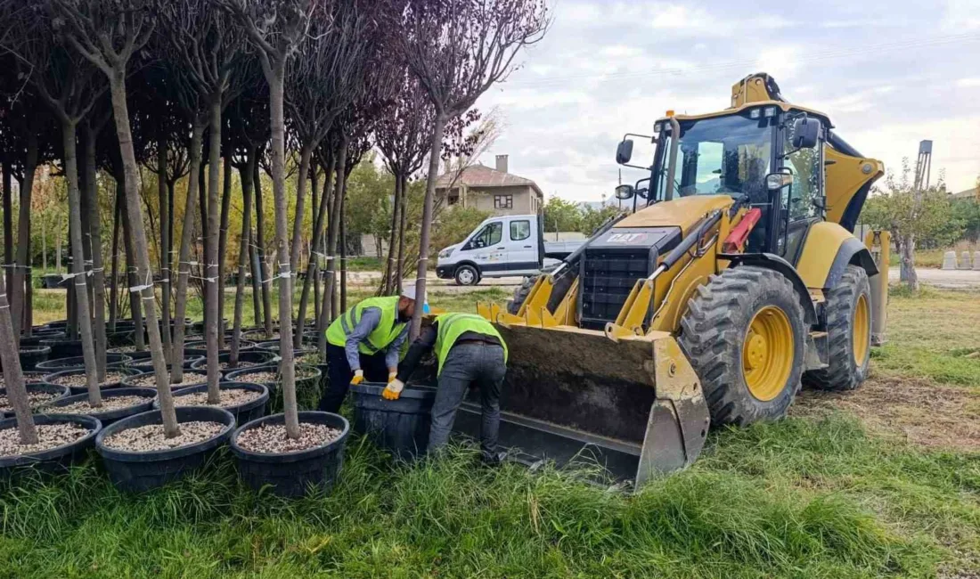 Van Büyükşehir Belediyesi, kent genelinde yürüttüğü yeşillendirme, ağaçlandırma ve peyzaj