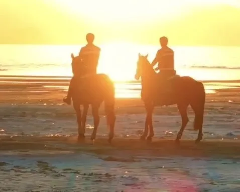 Van İl Jandarma Komutanlığı emrinde görev yapan Atlı Jandarma Timleri,