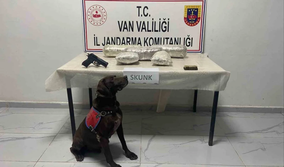 VAN (İHA) – Van’ın Başkale ilçesinde jandarma ekiplerince yürütülen çalışmalar