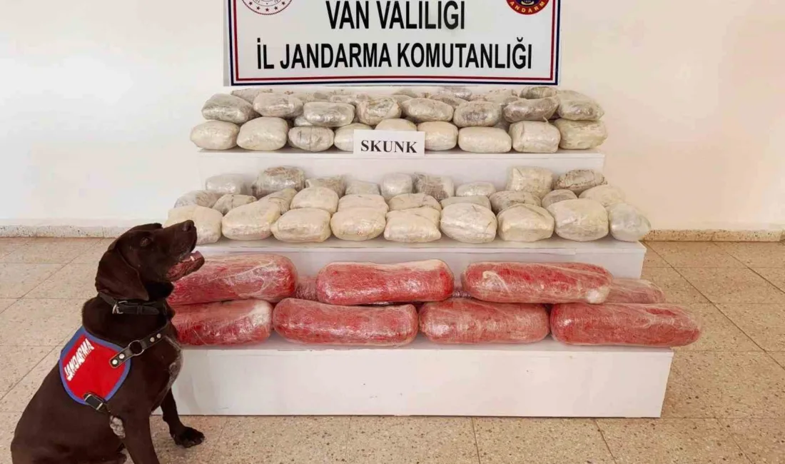 Van’ın Başkale ilçesinde jandarma ekiplerince yürütülen çalışmalar sonucunda 61,9 kilogram