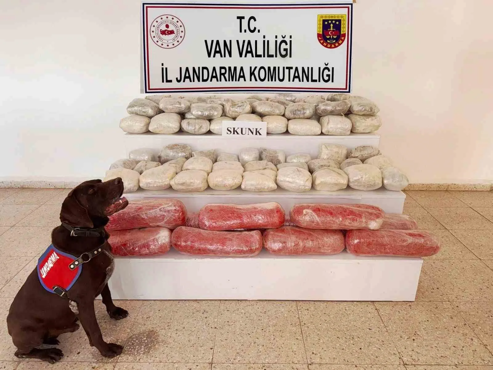 Van’ın Başkale ilçesinde jandarma ekiplerince yürütülen çalışmalar sonucunda 61,9 kilogram