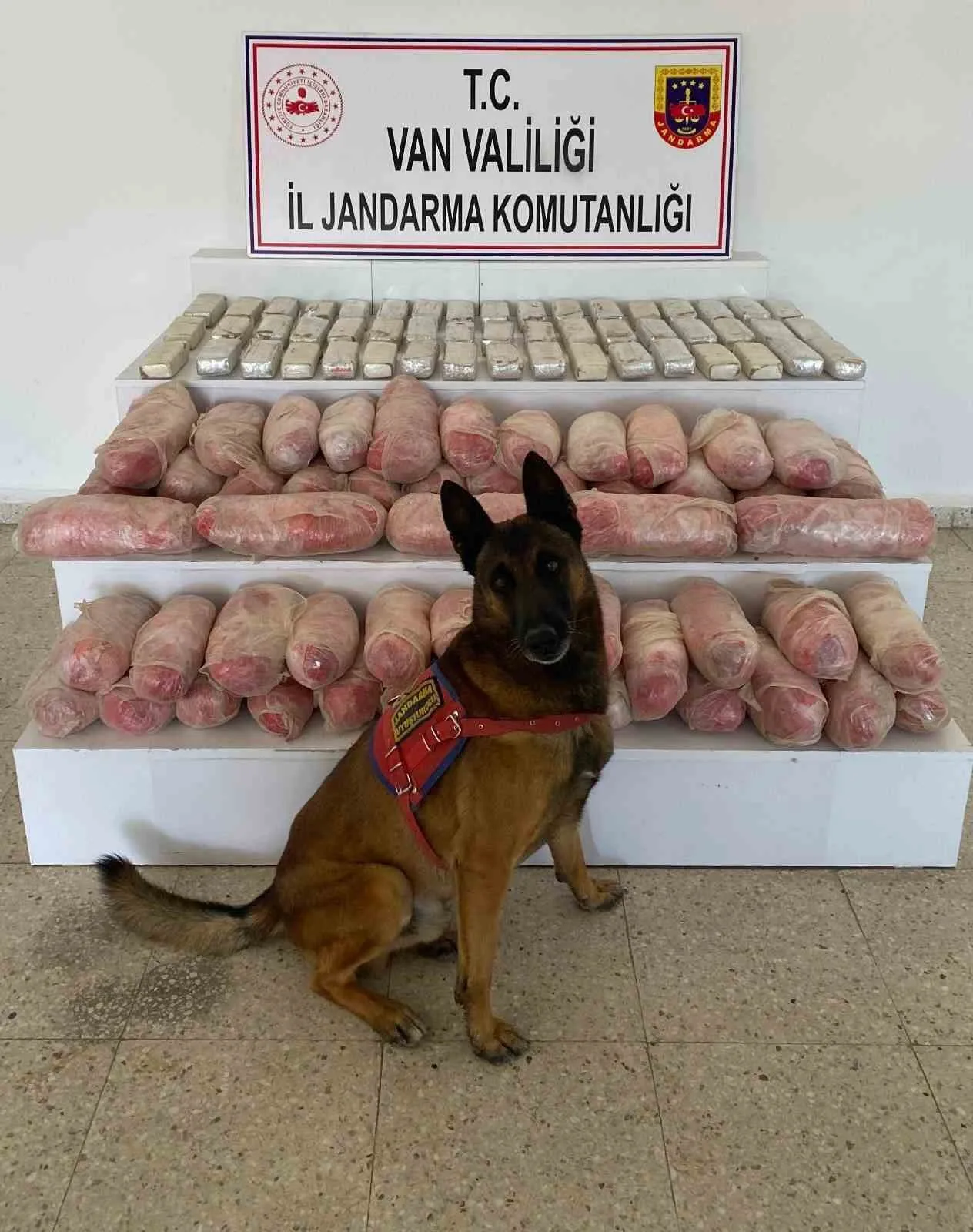 Van’ın Başkale ilçesinde jandarma ekipleri tarafından yapılan çalışmalar sonucu 67