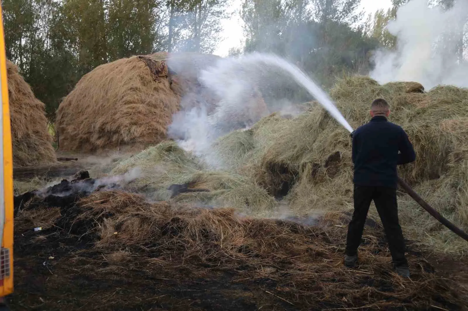 Van’ın Başkale ilçesinde çıkan yangında bin bağ ot kül oldu.