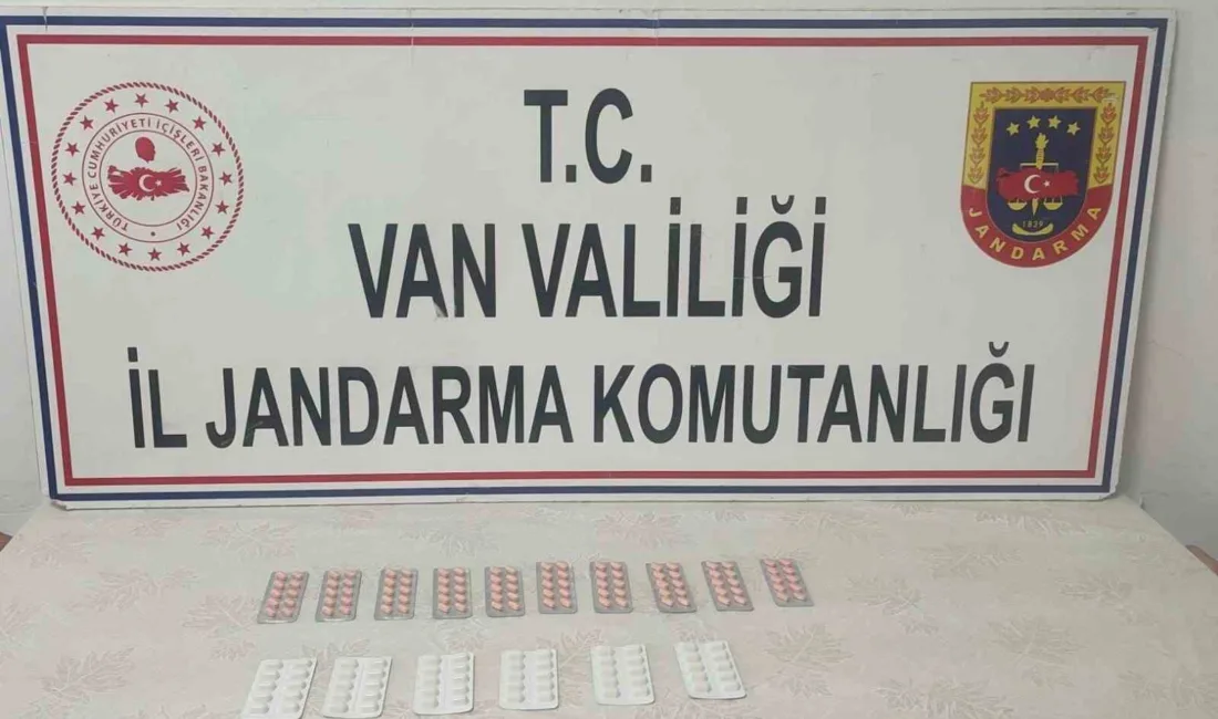 Van’ın Başkale ilçesinde jandarma ekipleri tarafından yapılan aramada İran uyruklu