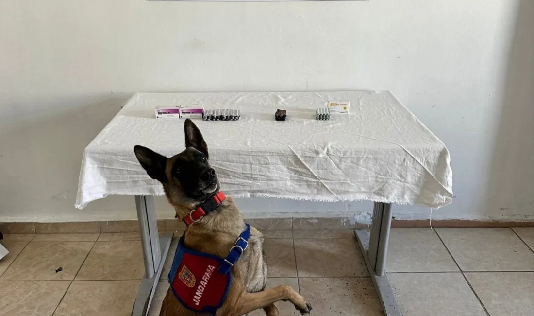 Van’ın İpekyolu ilçesinde jandarma ekipleri tarafından yapılan çalışmalar sonucu İran