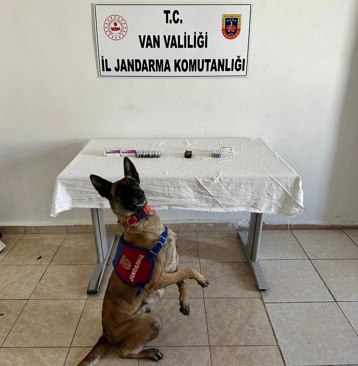Van’ın İpekyolu ilçesinde jandarma ekipleri tarafından yapılan çalışmalar sonucu İran