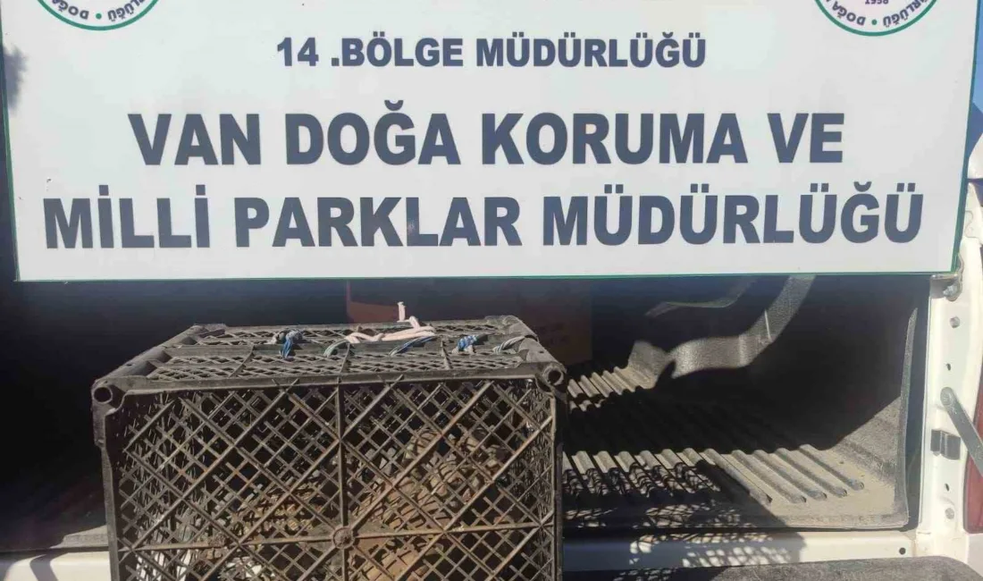 Van’da kafes avcılığı yapan şahsa 53 bin 883 lira cezai