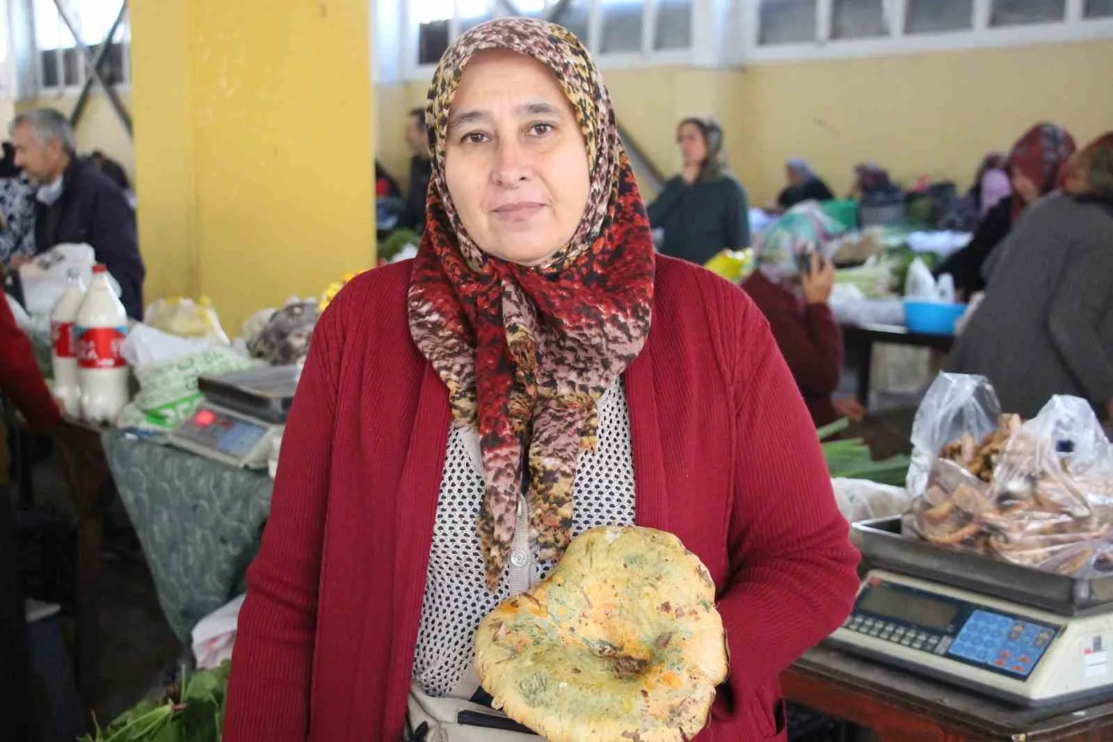 Bolu’da yağışların ardından ormanlarda çıkan kanlıca mantarlarını kova kova toplayan