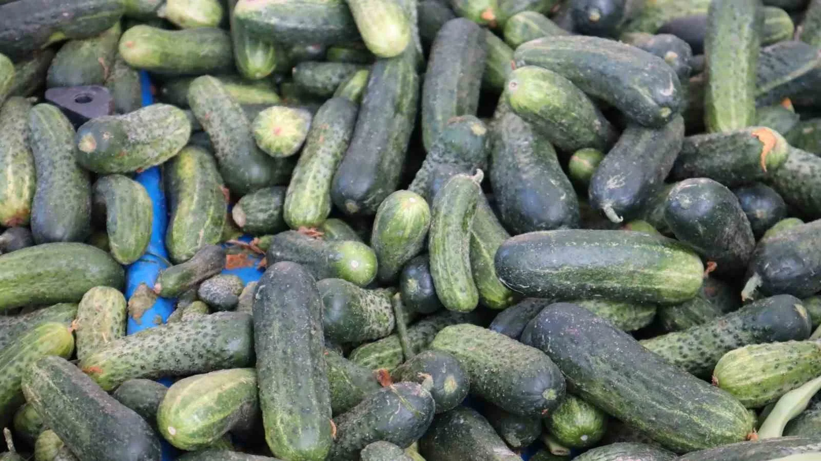 Hava sıcaklıklarının düşmesiyle beraber mutfaklarda kış hazırlıkları başlarken, vatandaşlar kış