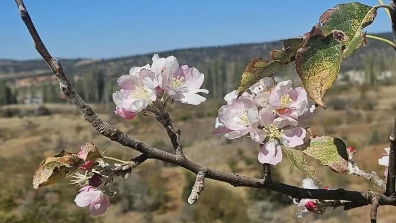 Konya’nın farklı yerlerinde yağmur ve kar yağışının beklendiği bugünlerde Bozkır