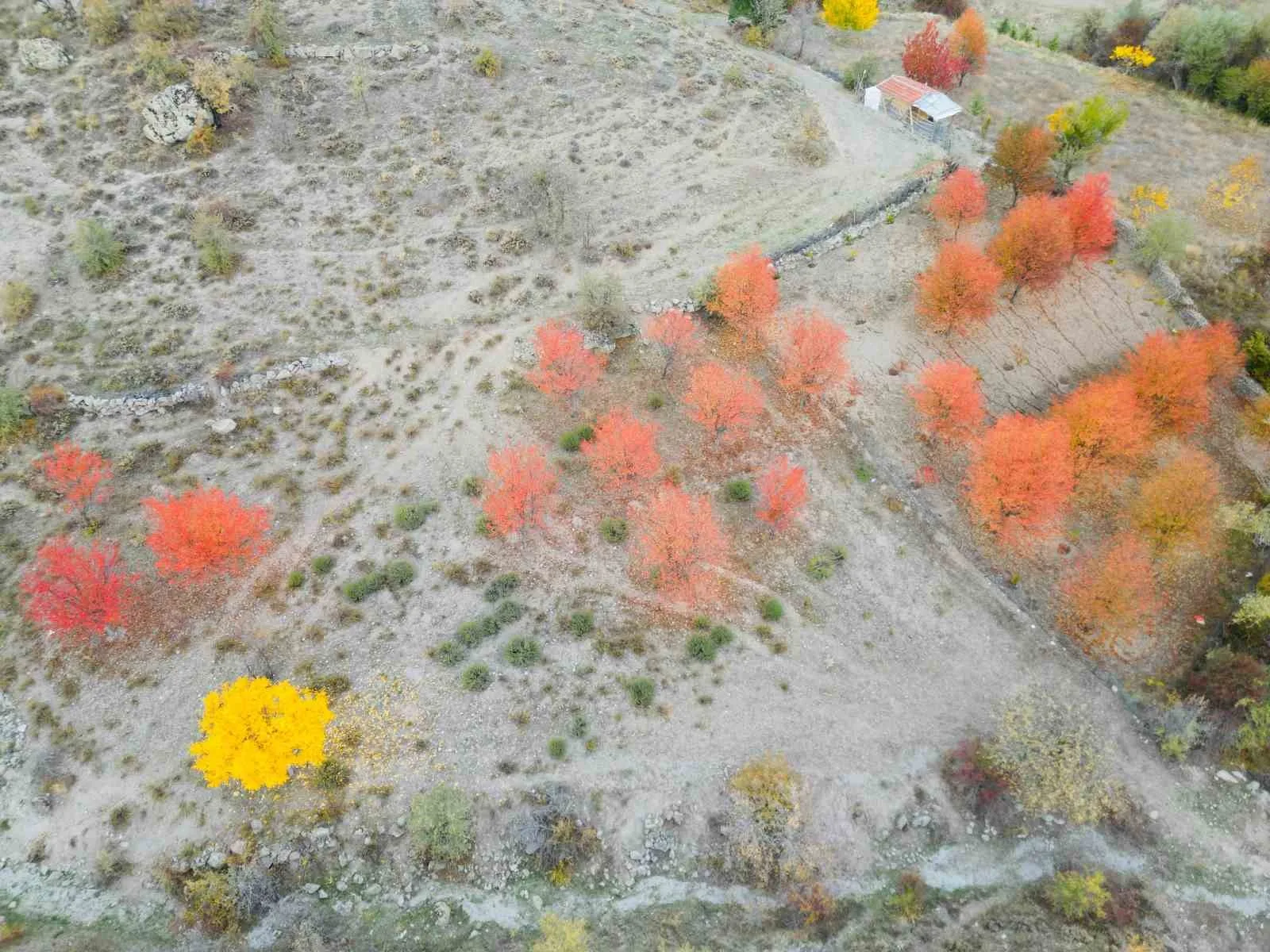 Afyonkarahisar’da sonbaharın gelmesiyle doğada eşsiz manzaralar açığa çıkarken, kent merkezinde