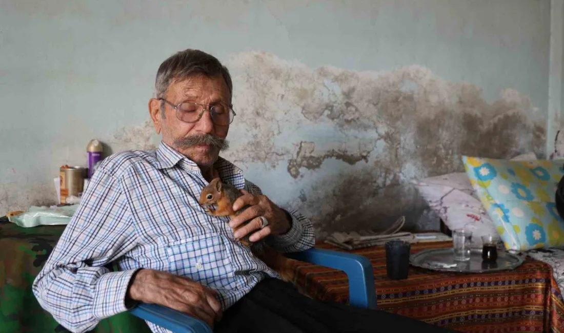 Adana’nın Kozan ilçesinde 6 çocuk babası Hacı Hasan Kaplan (65),