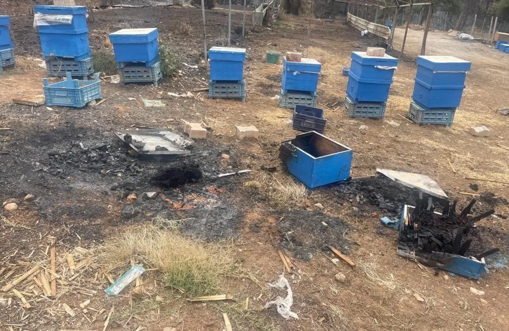 Bursa Büyükşehir Belediyesi, kentin arıcılık sektörünü desteklemek ve özellikle yangın