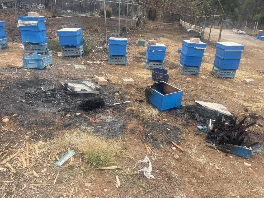 Bursa Büyükşehir Belediyesi, kentin arıcılık sektörünü desteklemek ve özellikle yangın