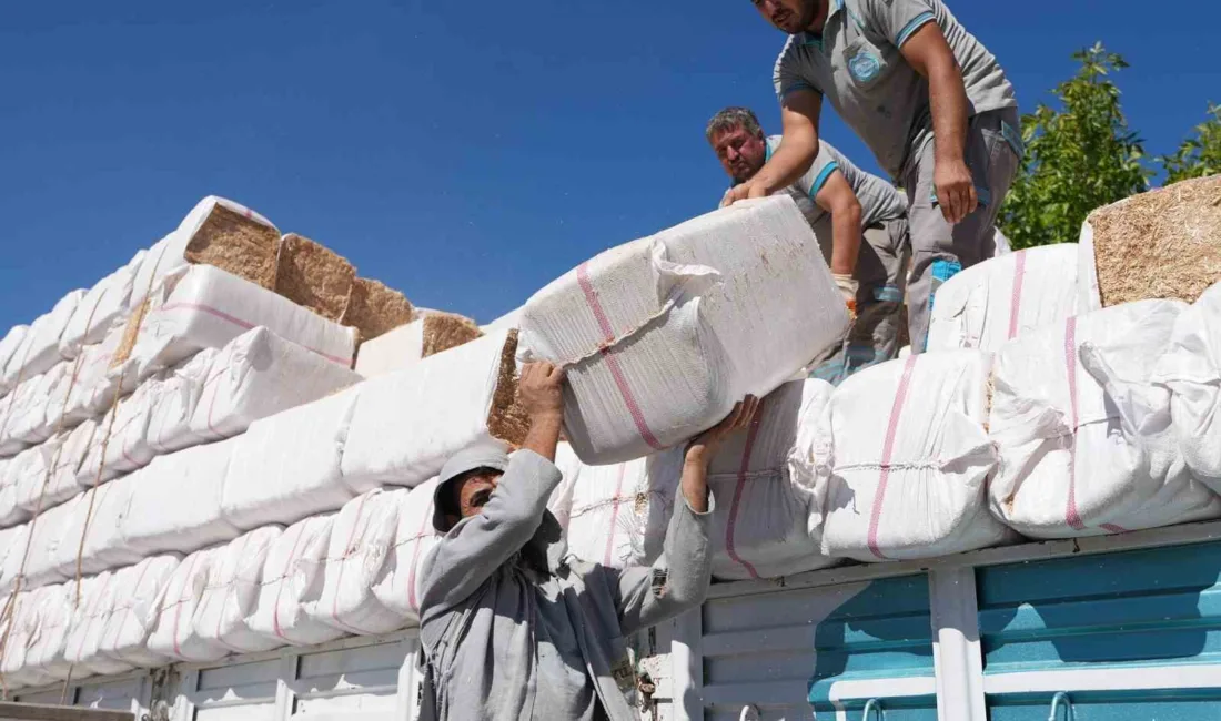 DENİZLİ (İHA) – Denizli’nin Buldan ilçesine bağlı Bostanyeri ve Bölmekaya