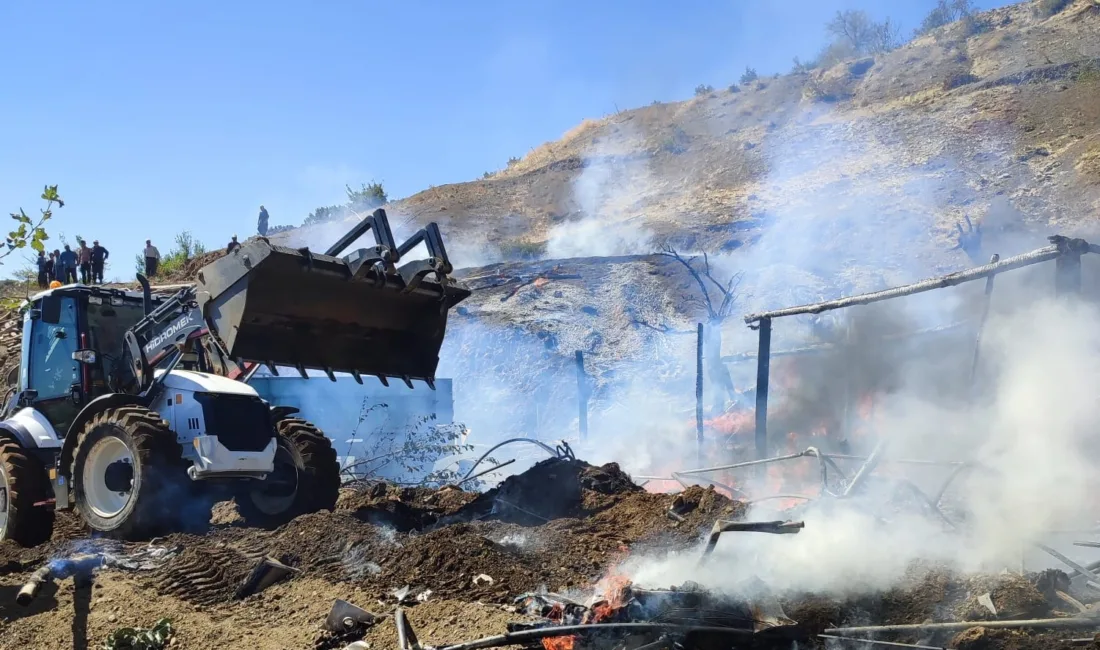 Adıyaman’da meydana gelen çadır yangınında 13 küçükbaş hayvan telef oldu.
