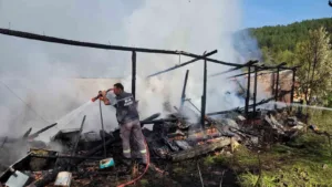 Karabük’ün Eflani ilçesinde çıkan yangında 36 kovan arı telef oldu.