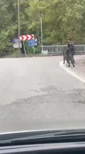 Zonguldak’ın Devrek ilçesinde kaydedilen görüntülerde yaşlı bir adamın üzerine koşan