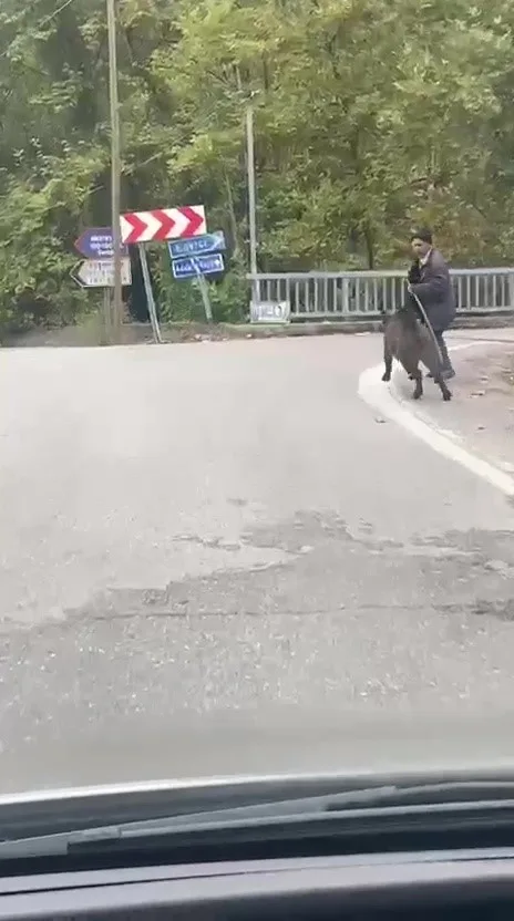 Zonguldak’ın Devrek ilçesinde kaydedilen görüntülerde yaşlı bir adamın üzerine koşan