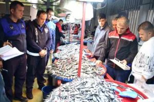 Bursa’nın Yenişehir ilçesinde zabıtalar Balık Pazarı’nı denetledi. Belediye Başkanı Ercan