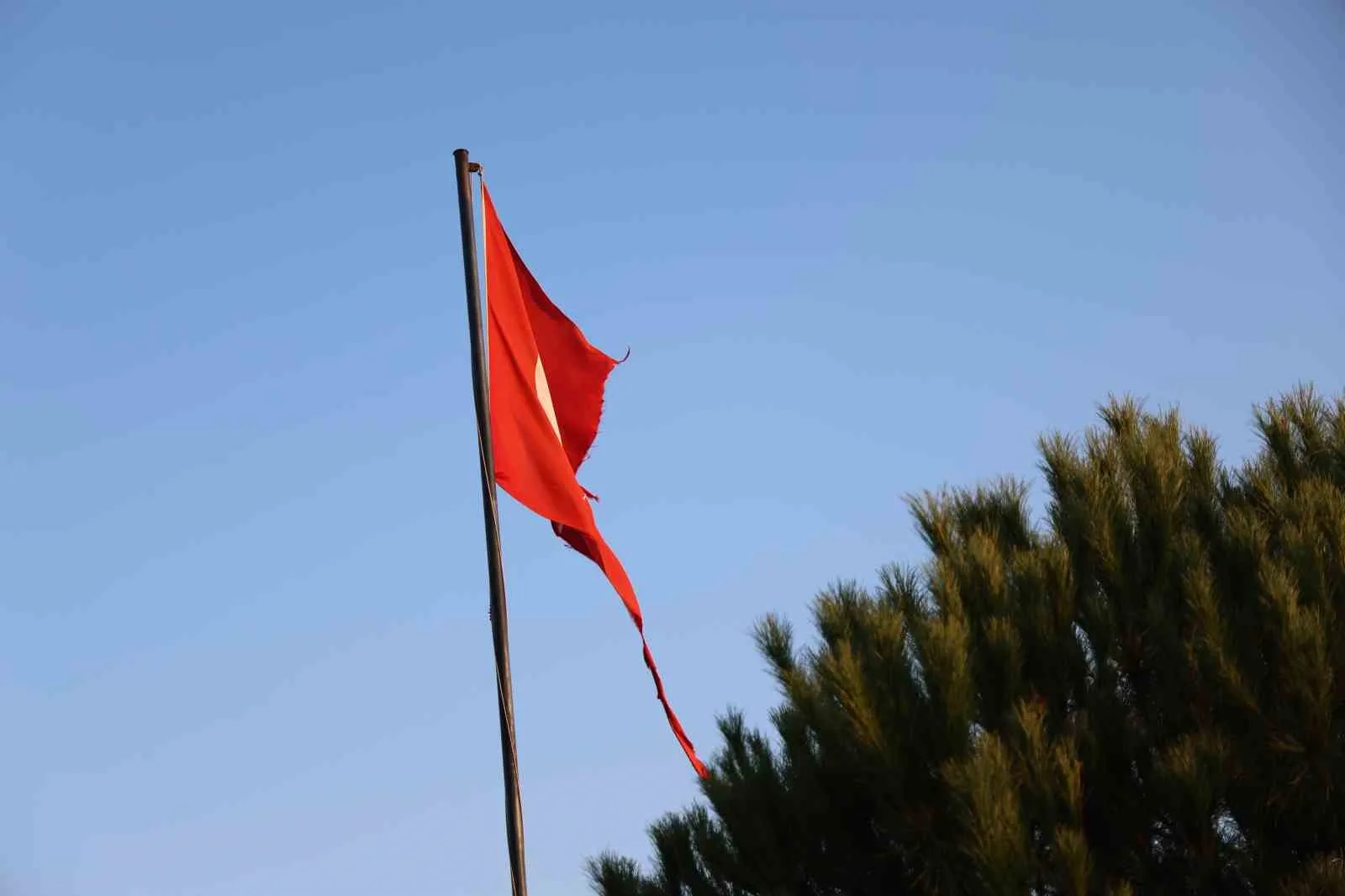 Aydın’ın Köşk ilçesi Cumayanı Mahallesi üst bölgesinde göndere çekilen ve