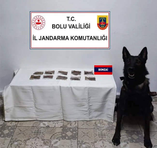 Bolu’da jandarma ekiplerinin yol kontrolü sırasında durdurduğu iki araçta çeşitli