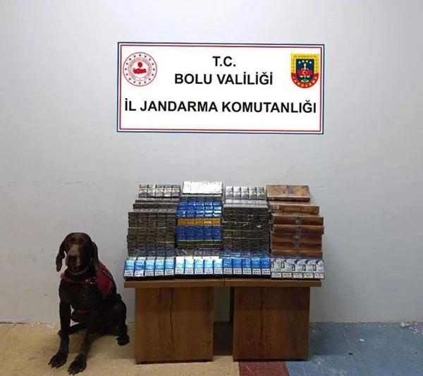 Bolu’da jandarma ekipleri tarafından durdurulan yolcu otobüsünde, bin 650 paket
