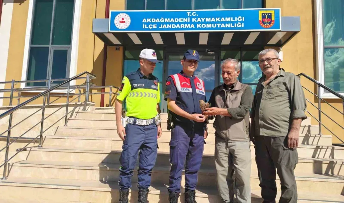 Yozgat’ta jandarma ekipleri devriye sırasında yaralı çakır kuşu buldu. Çakır