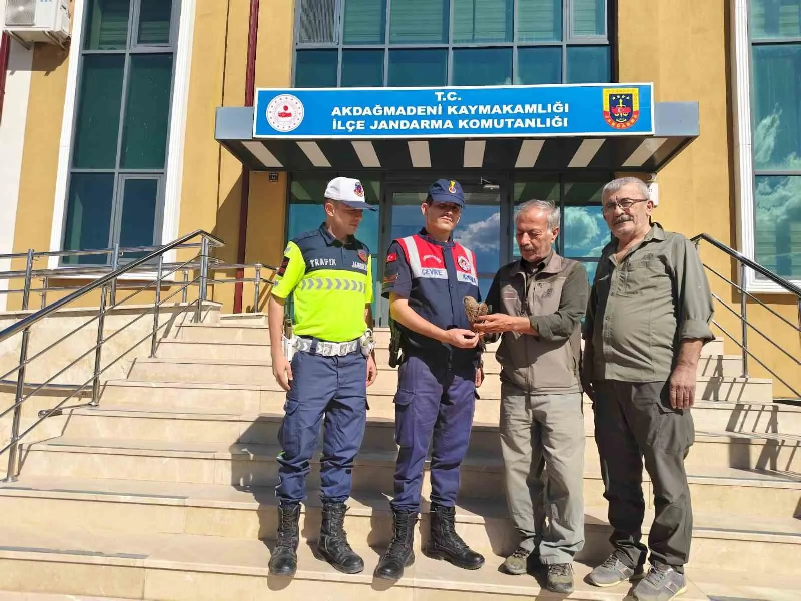 Yozgat’ta jandarma ekipleri devriye sırasında yaralı çakır kuşu buldu. Çakır