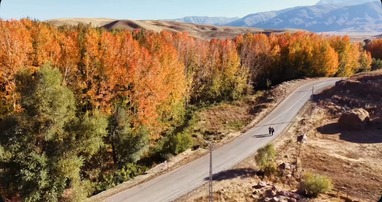 Hakkari’nin Yüksekova ilçesinde sonbahar mevsimi, doğayı adeta bir sanat eserine