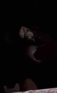 Hakkari’nin Yüksekova ilçe merkezinden geçen derede, yiyecek arayışında olan bir