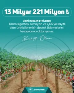 Tarım ve Orman Bakanı İbrahim Yumaklı, zirai dondan etkilenen çiftçilere