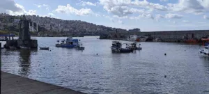 Zonguldak’ta yağışlar sebebiyle derelerin getirdiği toprak ve çamurlar, limanı sarı