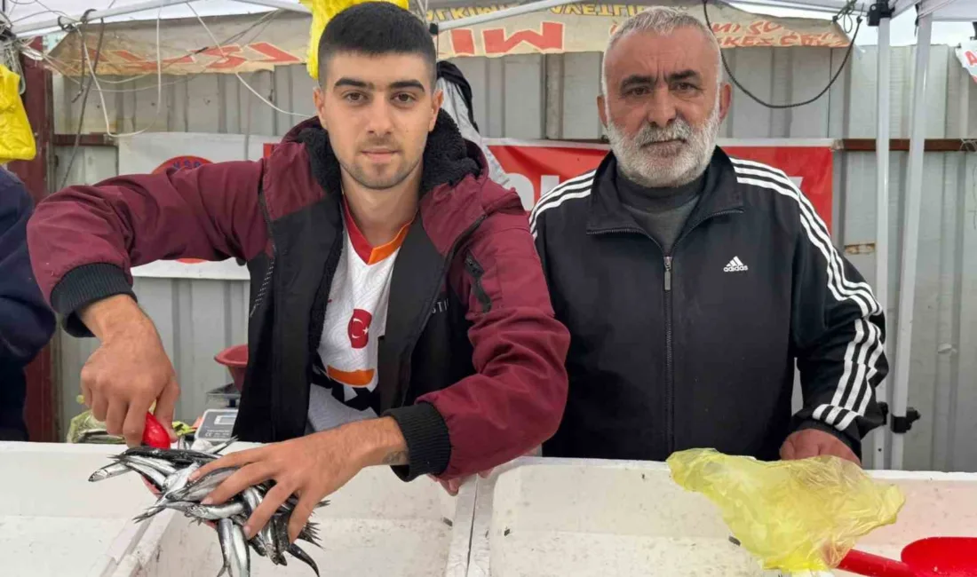 Zonguldak’ta bolluk nedeniyle hamsi fiyatının 100 liraya düştü. Balık hali
