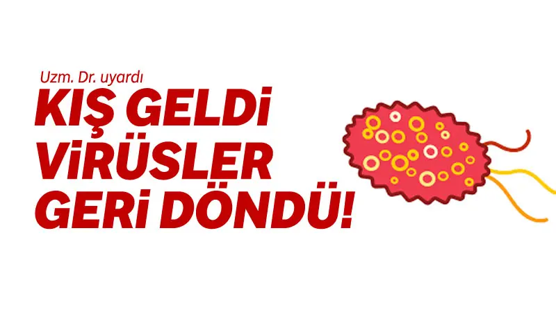 Kış mevsiminin gelmesiyle birlikte, kapalı ortamlarda geçirilen sürenin artması ve