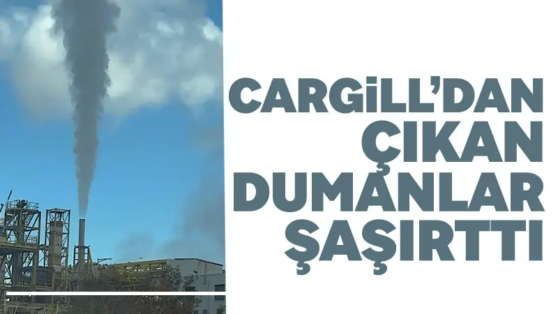 Gıda, yem ve endüstriyel ürünler üzerine faaliyet gösteren ABD’li Cargill