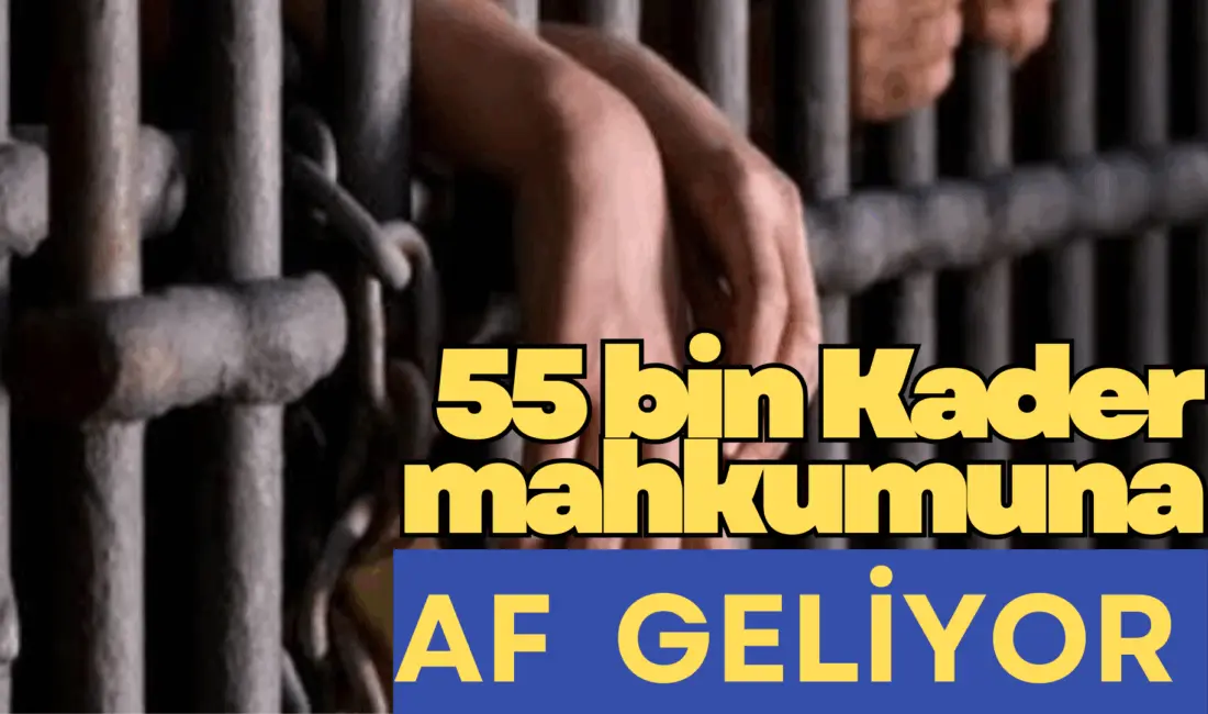 11. Yargı Paketiyle 55 bin mahkuma tahliye yolu açan düzenlemenin