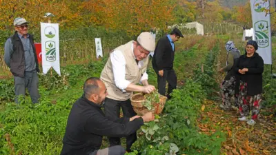 Osmangazi Belediyesi’nin tarımsal kalkınmanın desteklenmesi ve kentin üretim potansiyelinin artırılması