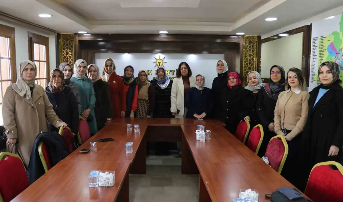 Sivas AK Parti Kadın Kolları, 25 Kasım Dünya Kadına Şiddetle